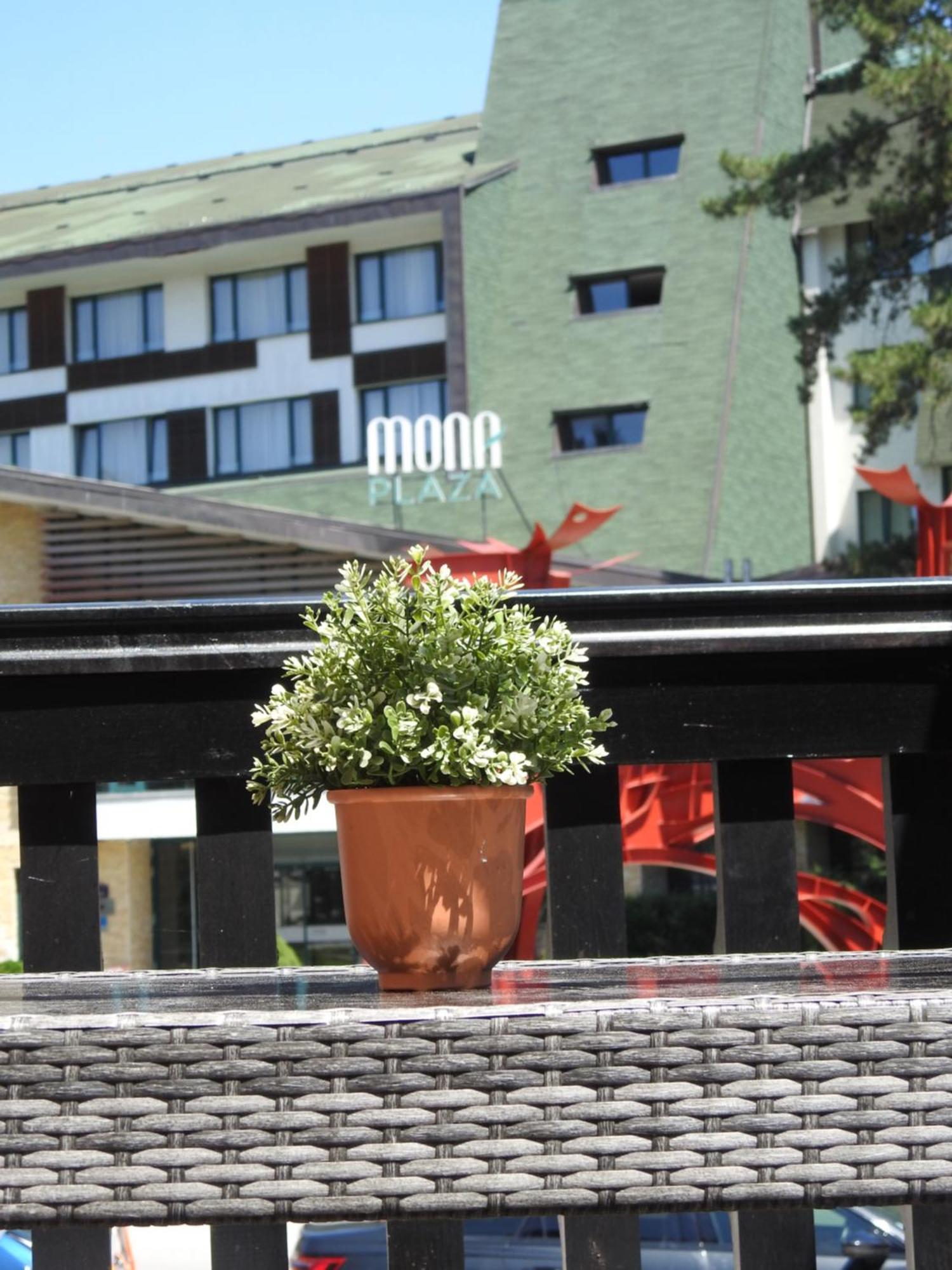Apartman Ogi Zlatibor Dış mekan fotoğraf